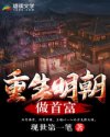 重生明朝做首富