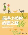 霸道小狼狗追妻之路