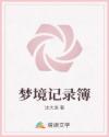 梦境记录簿