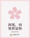 初见，再见皆是你