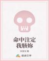 命中注定我駭妳
