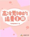 高冷男神的追妻手册
