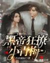黑帝狂撩小青梅