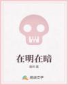 在明在暗
