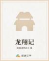 龙翔记