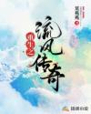 重生之流风传奇