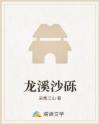 龙溪沙砾