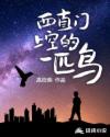 西直门上空的一匹鸟