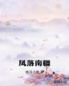 凤落南疆